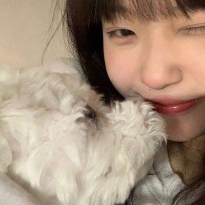猪猪侠超星小英雄九游版下载